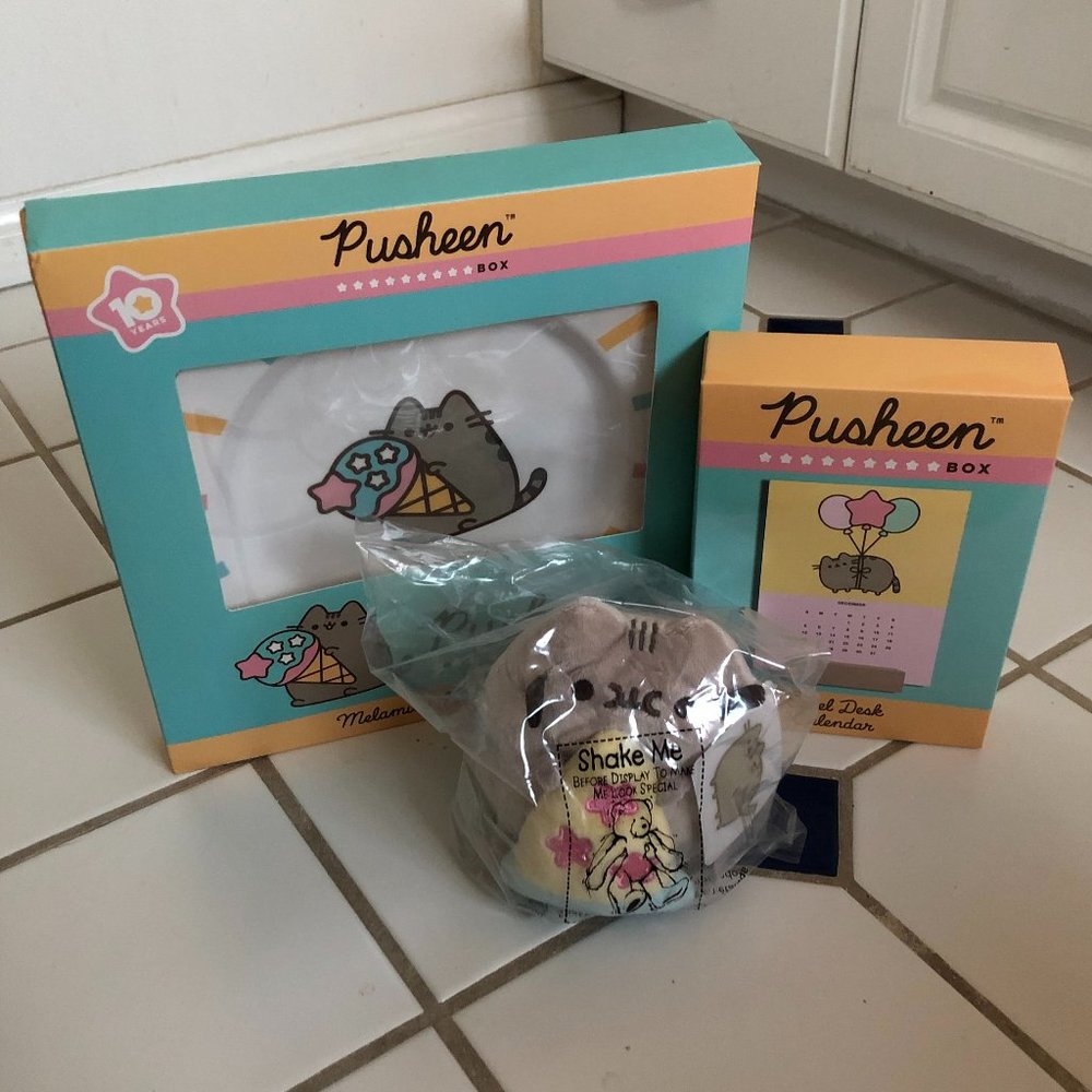 🚫SOLD🚫 Pusheen Box Winter 2020 Bundle